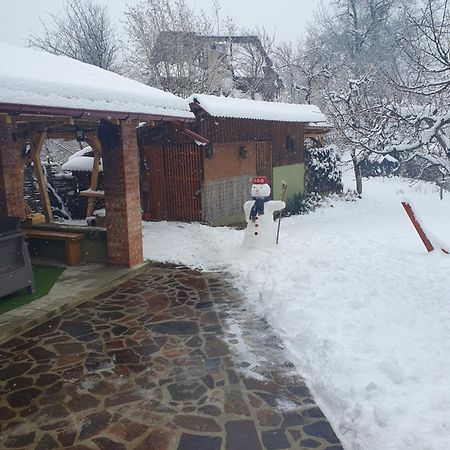 Casa Mea De Vacanta Baia-Sprie Εξωτερικό φωτογραφία