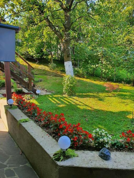Casa Mea De Vacanta Baia-Sprie Εξωτερικό φωτογραφία