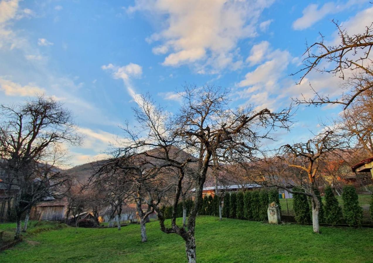 Casa Mea De Vacanta Baia-Sprie Εξωτερικό φωτογραφία
