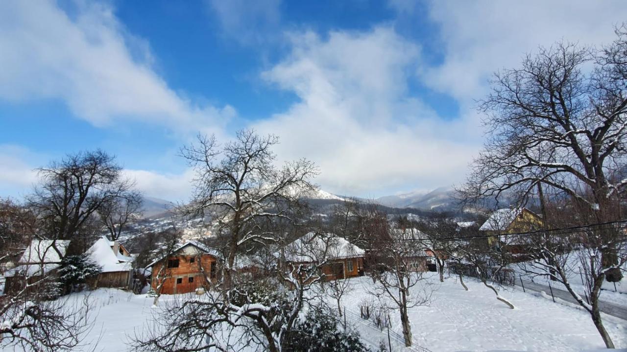 Casa Mea De Vacanta Baia-Sprie Εξωτερικό φωτογραφία