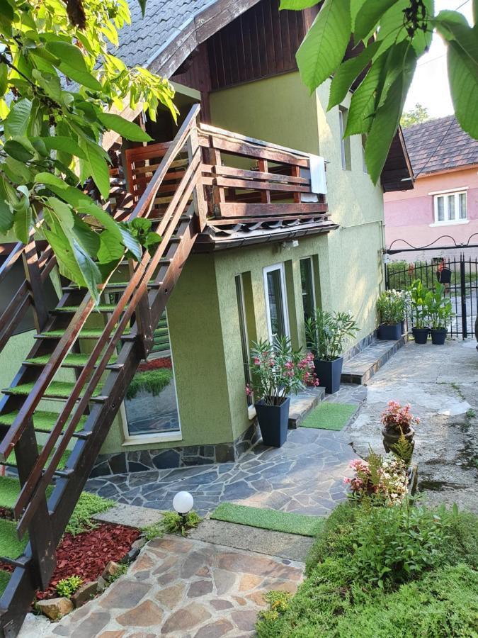 Casa Mea De Vacanta Baia-Sprie Εξωτερικό φωτογραφία